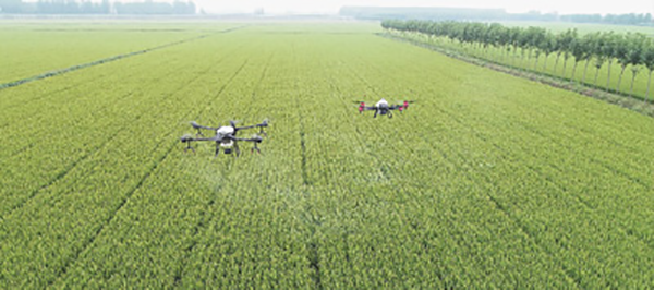 1600420773518912.png 圖片1.png